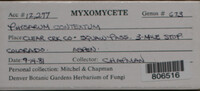 Image Associated With the Occurence